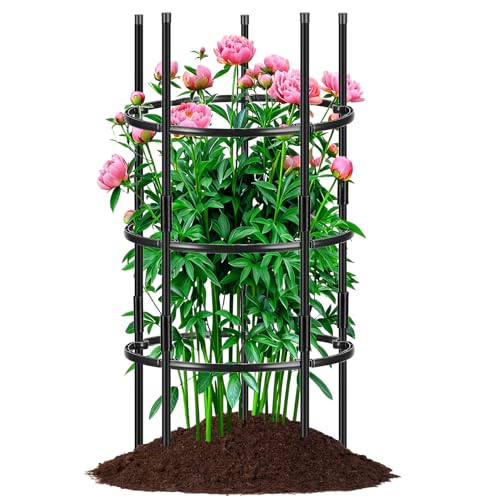 19.5" D x 39" H Peony Plant Support Cage,3-Tier Stackable