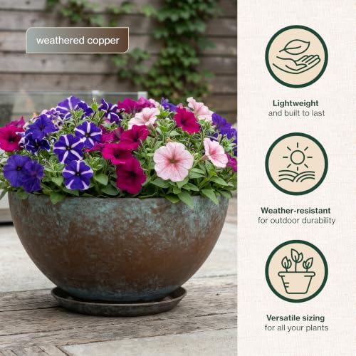 10" Rosie Bowl with Saucer in Weathered Copper - color: Weathered Copper