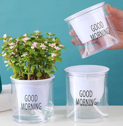 2PCS Self Watering Planters 4.71 Inch Self Watering Pots for Indoor Plants, African Violet Pots with Wick Rope, Flowers, Succulents, Herb, House Plants - color: Transparent