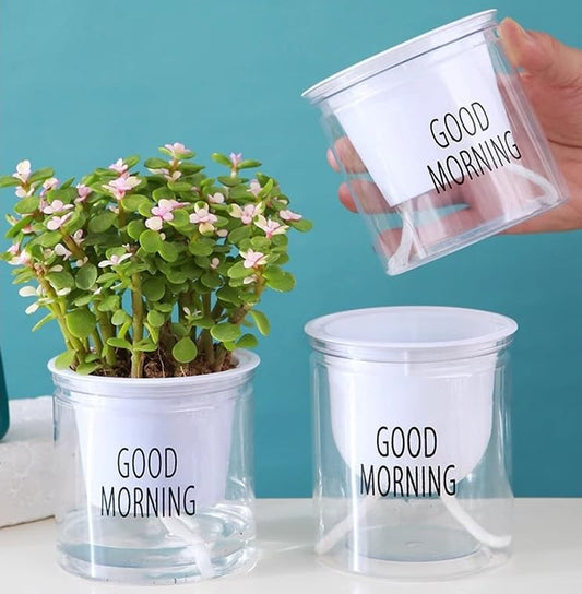 2PCS Self Watering Planters 4.71 Inch Self Watering Pots for Indoor Plants, African Violet Pots with Wick Rope, Flowers, Succulents, Herb, House Plants - color: Transparent