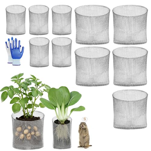10 Pack Gopher Baskets Set, 5Pcs 1 Gallon Root Guard Baskets and 5Pcs Gopher Basket 5 Gallon, Plant Mesh Wire Baskets, Gopher Vole Proof Wire Cage for Garden Berries Vegetables Protection