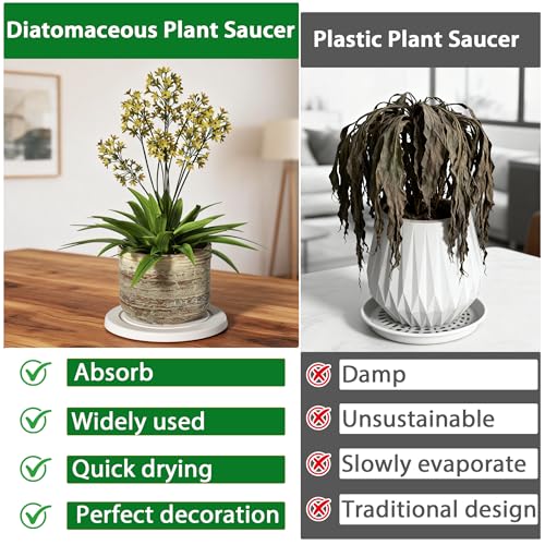 Diatomaceous Earth Plant Saucer, Round Pot Saucers, 2 Pcs 10 Inch - color: 2pcs White Medium