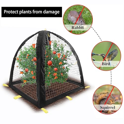 Large Pest Guard Cover-35 x35 x 39 Inch Pest Guard Tent with Stakes-Garden Plants Cloche Tent for Protect Plants Vegetables Fruits Shrubs from Squirrel Bird Eating (L) - color: L