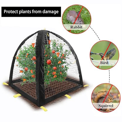 Large Pest Guard Cover-35 x35 x 39 Inch Pest Guard Tent with Stakes-Garden Plants Cloche Tent for Protect Plants Vegetables Fruits Shrubs from Squirrel Bird Eating (L) - color: L