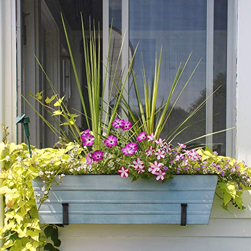 Achla Designs C-21NB Window Box, Large, Blue - color: Blue, size: Large