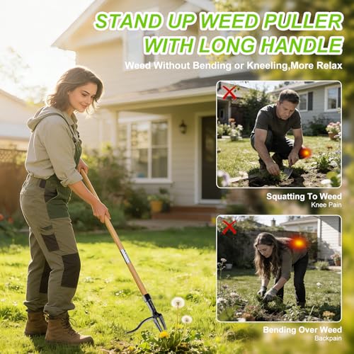 Stand Up Weed Puller Tool, Real Bamboo Long Handle 4-Claw Steel Head Weeder - size: 45-IN