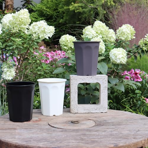 10 Pack 5.30 Inch Plastic Deep Nursery and Seedling Pots, Round Transplant Seed Starter Planter, Gray Color - color: Gray, size: 5.30 inch