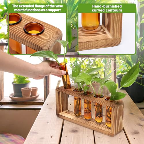 Glass Plant Propagation Station with 5 Test Tubes Colorful Planter Vase - color: Amber