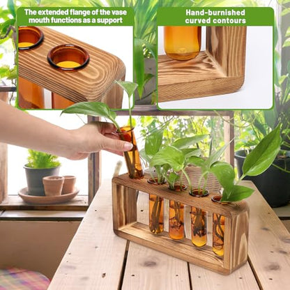 Glass Plant Propagation Station with 5 Test Tubes Colorful Planter Vase - color: Amber