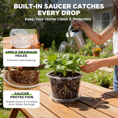 4/5/6 Inch Clear Nursery Pots with Drainage and Saucer for Multiple Crops