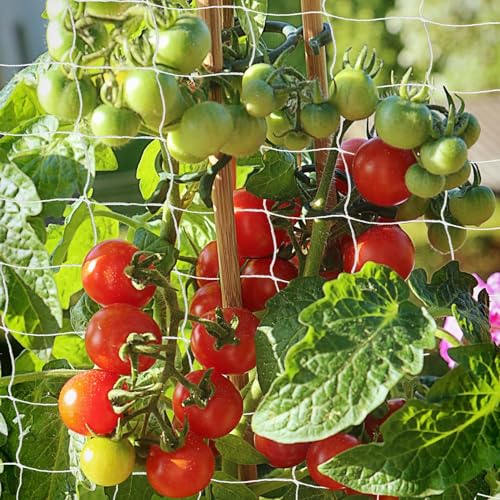 Trellis Netting, PDGROW Garden Plant Trellis Netting, 6 x 15 ft Heavy Duty Garden Trellis Netting, Outdoor Grow Net for Vines, Fruits, Vegetables, Grapes, Beans,Peas, 1 Pack - size: 6x15ft - 1 Pack