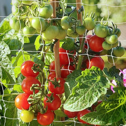 Trellis Netting, PDGROW Garden Plant Trellis Netting, 6 x 15 ft Heavy Duty Garden Trellis Netting, Outdoor Grow Net for Vines, Fruits, Vegetables, Grapes, Beans,Peas, 1 Pack - size: 6x15ft - 1 Pack