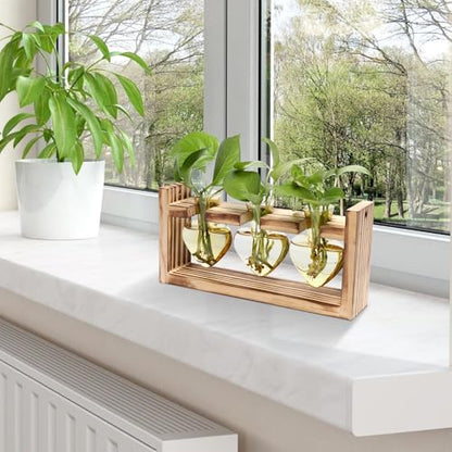 Plant Terrarium Propagation Stations Hydroponics - color: Gold