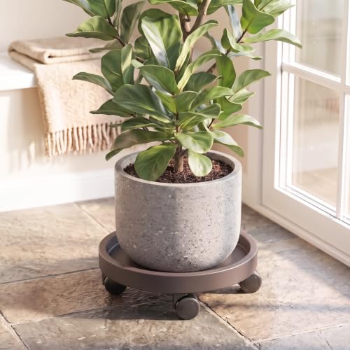 14" Plant Caddy with Wheels - Rolling Plant Caddy - Total Capacity 308 lbs - size: 14"