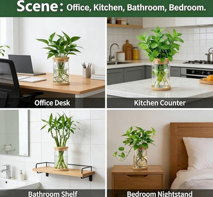 Desktop Plant Hydroponic Vases, Water Plant Jars, Gardening Gifts for Office and Home, Outdoor - color: Clear