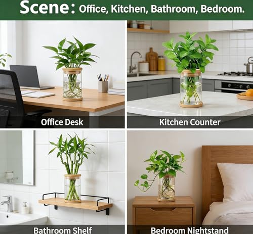Desktop Plant Hydroponic Vases, Water Plant Jars, Gardening Gifts for Office and Home, Outdoor - color: Clear