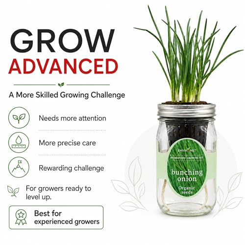 Hydroponic Vegetable Growing Kit, Self-Watering Mason Jar Vegetable Garden Starter Kit Indoor, Grow Bunching Onion from Organic Seeds (bunching Onion) - color: bunching onion
