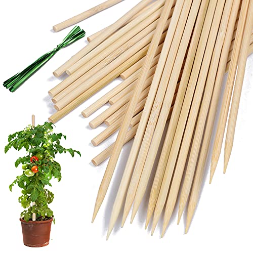 Bamboo Plant Stakes25Pack,HAINANSTRY 18Inch Plant Supports With25Green Ties - color: Burlywood, size: 18 Inch 25Pack