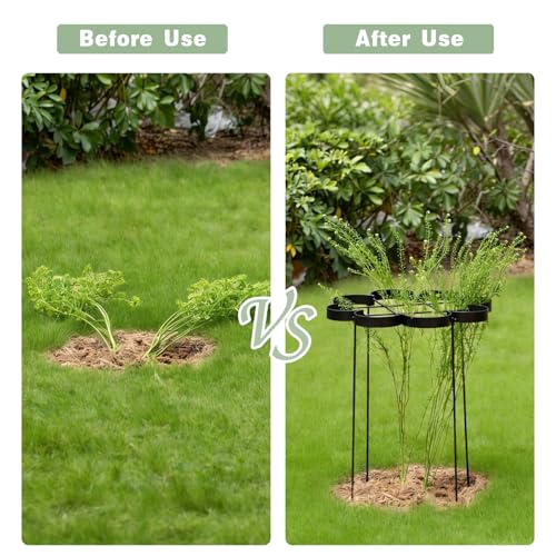 25" Peony Cages and Supports Elegant Modern Flower Support Stakes - color: Black