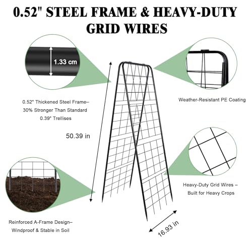 Perszen 50.39"x16.93" Sturdy Cucumber Trellis for Raised Garden Bed, Rustproof Metal Garden Trellis for Climbing Plants Outdoor, A-Frame Vertical Arch Trellis for Vegetables, Cucumber, Pea, Black - size: 1 Pack