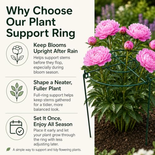 Peony Cages and Supports, 8 Pack 12 x 15.7 in Metal Plant Support Rings Set