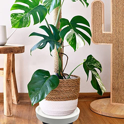 Outdoor Roll Around Plant Caddy with Wheeled Planter Pallet, Heavy Duty Plant Tray Round Planter Trolly for Moving Large Potted Trees,Ceramic Heavy Plants (Large) - color: Large