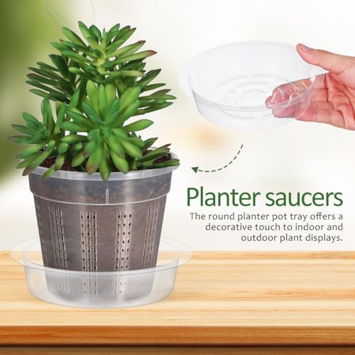 DECHOUS Plant Saucers, 60 Pack 6 Inch Clear PET Trays