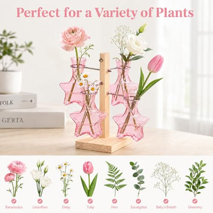 Nacome Plant Terrarium Propagation Stations: Pink Vase with Wooden Stand - color: Pink