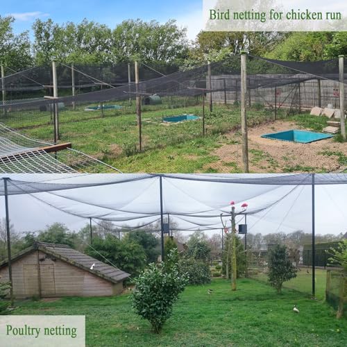 50x50 FT Bird Netting, 1" Mesh, Heavy Duty Garden Netting - size: 50x50FT-1inch