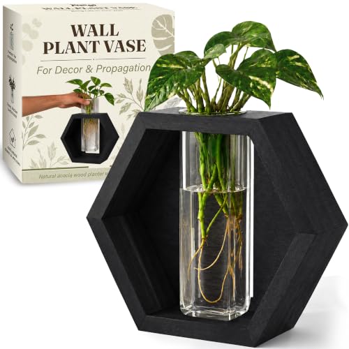 AVERGO Wall Plant Decor (1-Pack), Black Wood Indoor Wall Planter - color: Black