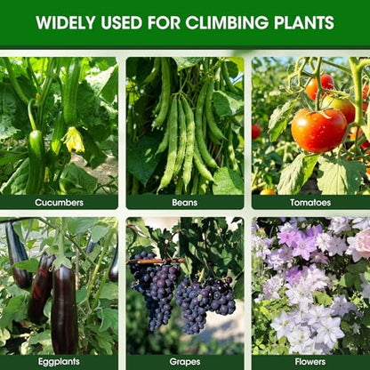 2 Pack Tomato Cage for Garden Support, 43 inch Tall Adjustable Plant Support Stakes, Tomato Trellis Extra Bold for Climbing Vegetables Plants Flowers - style: 2 Pack
