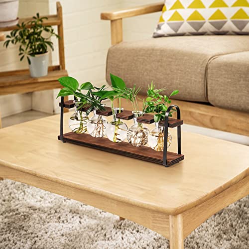 5-Bulb Plant Propagation Station, Glass Vase Terrarium, Wood Metal Stand - color: Dark Brown