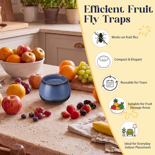 1 Pack Ceramic Fruit Fly Traps Reusable, Reactive Glaze, Cobalt Blue - color: Cobalt Blue, size: Reactive Glaze