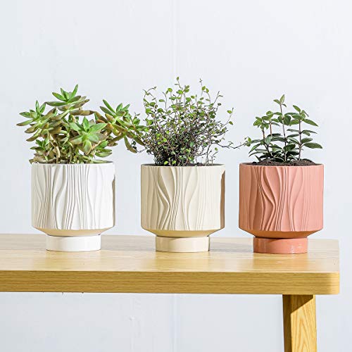 UBEE 5.5 Inch Ceramic Flower Pot for Indoor Plants | Unique Planter Succulent Pots | Decorative Plant Pot with Drainage Hole and Saucer for House Plants, Snake and Orchid, White - color: White