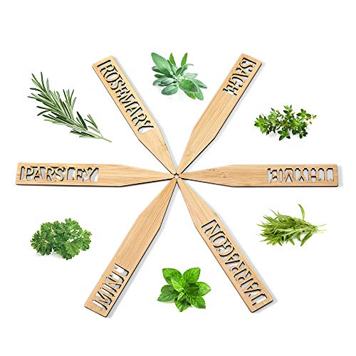 Bamboo Herb Markers - Set of 12 Beautiful Garden Labels - Sturdy Outdoor Garden or Potted Herb Markers