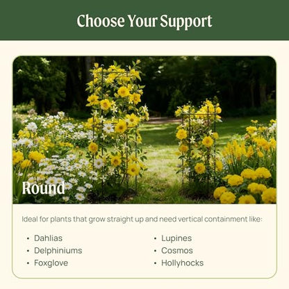 Peony Cages and Supports 2 Pack, Heavy Duty Metal Flower Support Cage, 24"(W) x 36" (H) Trumpet Plant Support for Peonies, Roses, Perennials & Garden Flowers, Rust-Resistant Steel Plant Support Ring - size: Large