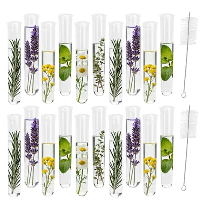 20Pcs Test Tubes for Plants Propagation Tubes with Brush, Propagation Station Tubes 20ml Plastic Test Tubes for Hydroponic Plants, Flowers, Home Office Wall Decor (12 cm) - size: Plastic