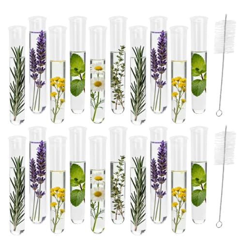 20Pcs Test Tubes for Plants Propagation Tubes with Brush, Propagation Station Tubes 20ml Plastic Test Tubes for Hydroponic Plants, Flowers, Home Office Wall Decor (12 cm) - size: Plastic