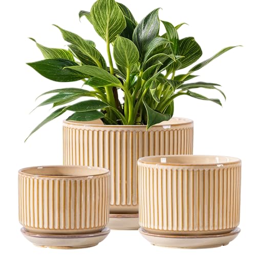 SURE YUESI Ceramic Plant Pots Set of 3, Indoor Outdoor Planters with Drainage Hole and Saucer, Ceramic Flower Pots for Indoor Plants, 4.3+5.5+6.8 Inch, Home, Garden, Patio and Office, Glossy Beige - color: Beige