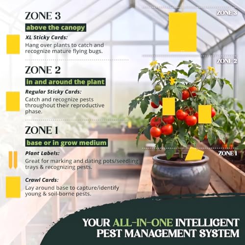 60 Pack Yellow Sticky Traps for Gnats, Fruit Fly Traps for Indoors Plants - size: 60Packs