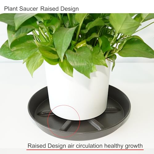 NIMYAU Plant Saucer 12 inch 2 Pack Drainage Plant Saucers – Plastic Plant Drip Trays, Plants Collects Flower Pot Drainage and Excess Water - color: Brown, size: 12" (2-Pack)