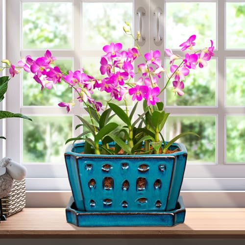 Teenyyou 7 Inch Ceramic Orchid Pot with Holes and Saucer Repotting,Blue - color: Blue