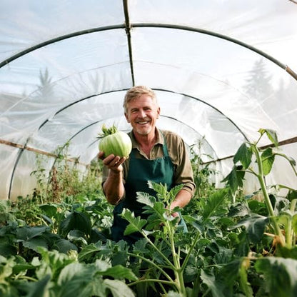 RAINFLOW Garden Insect Netting Pest Barrier - Mesh Netting for Raised Beds