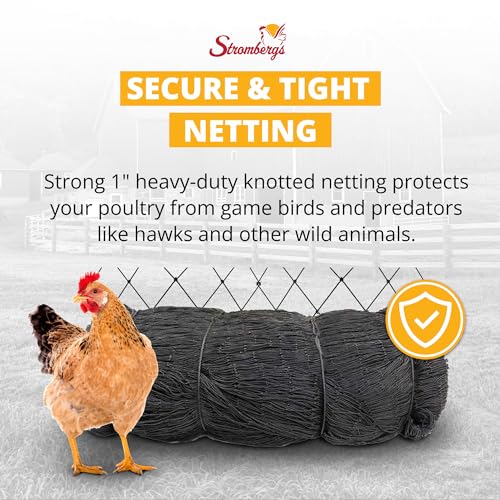 Stromberg's 1" Knotted Netting, Game Bird Netting, 50'x100' - style: 1" Netting - 50' x 100'