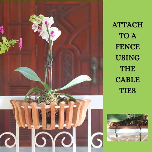 3 Wooden Orchid Wall Planters, Plant Baskets for Wall Mounting (Wall Baskets)