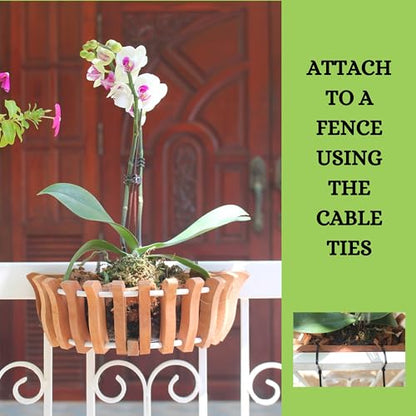 3 Wooden Orchid Wall Planters, Plant Baskets for Wall Mounting (Wall Baskets)