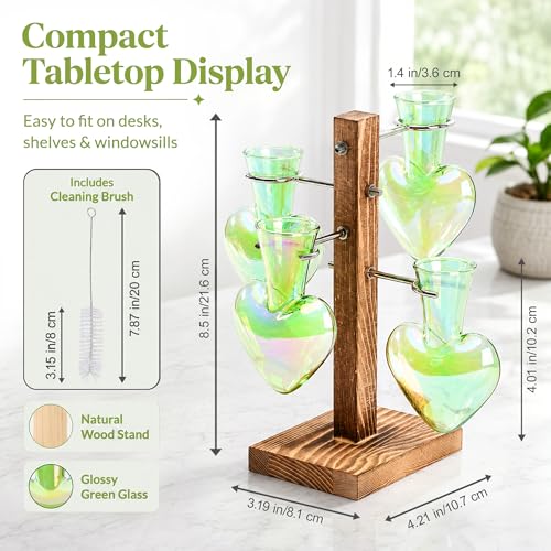 Nacome Plant Terrarium Propagation Stations: Green Vase with Wooden Stand - color: Green