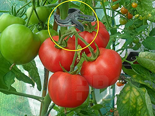 Ram-Pro 20 Piece Green Gentle Gardening Plant & Flower Lever Loop Gripper Clips, Tool for Supporting or Straightening Plant Stems, Stalks, and Vines, Garden Clips - size: 20 pc