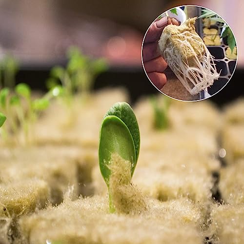 Halatool 1 Inch Rockwool Cubes for Hydroponics, 100 Plugs Seed Starter Cube - color: 2 Sheets, size: 1" Cubes