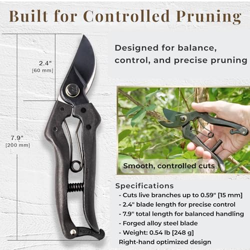 Wablade Japanese Pruning Shears, Bypass Garden Pruner 7.9", Made in Japan - style: Cusion-Spring Model